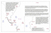 van65 chile st helena_thumb.gif
